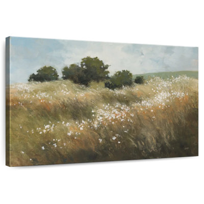 Calm Meadow
