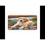 Polyester Desk Pad-938833614