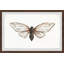 Tan Butterfly - Single Picture Frame Painting-884282763