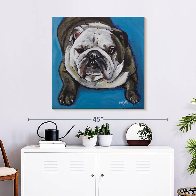 Crowle English Bull Krup, 30" H x 30" W