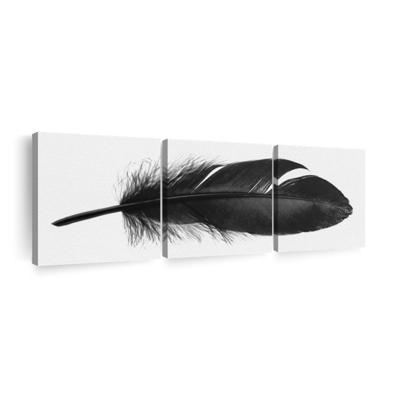 Plume foncée 3 pièces, H 8 po x l 26 po x P 1 po