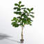 Faux Tree in Pot-27787967