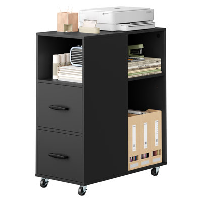 Mobile Filing Cabinet with 2 Drawers, Black, 30x60x70 cm