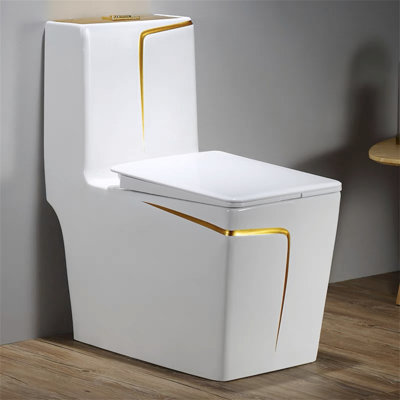 Dual-Flush Elongated One-Piece Toilet (Seat Included)