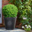 Rustic Style Rolled Rim Wide Vase Planter-87131648-87131654