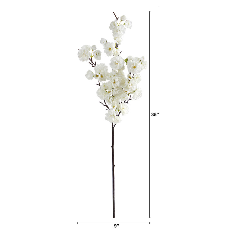 Tige de cerisier en fleurs, Blanc
