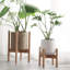 Baheerah Plant Stand - Set of 3
