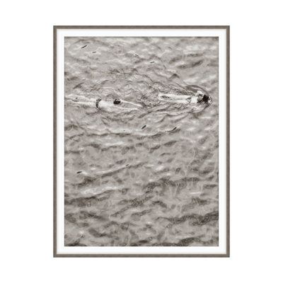 Taking A Dip 1 Print by Ron Lake