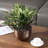 Handmade Metal Pot Planter