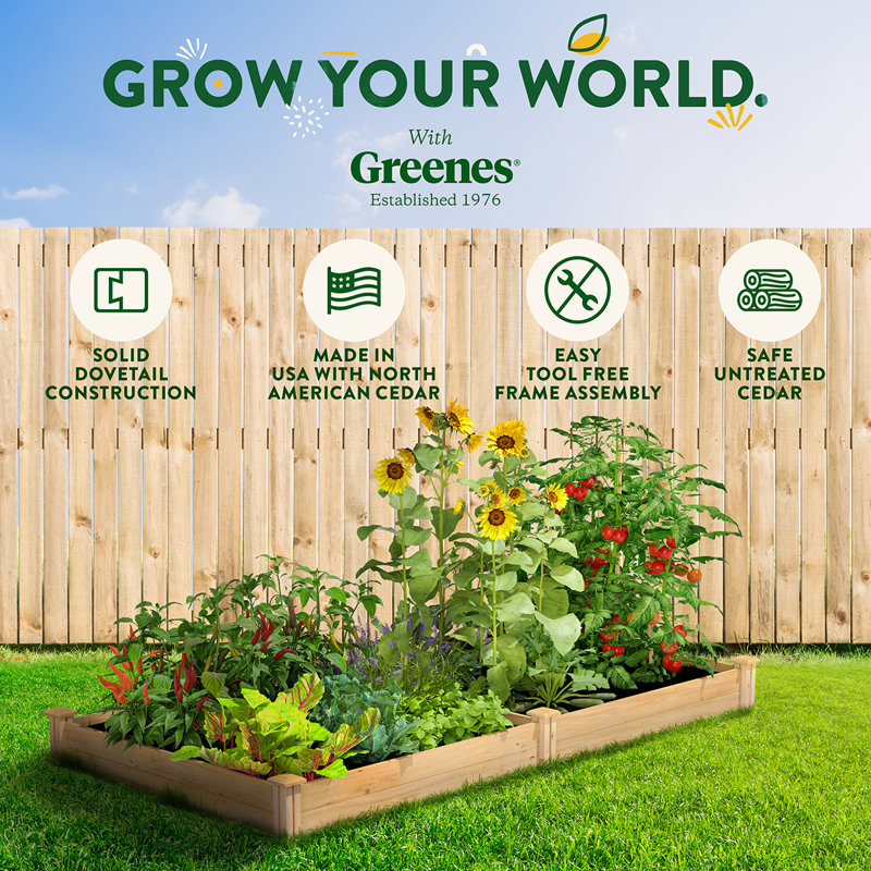 Katsuyoshi Wood Raised Garden Bed, 7" H x 96" W x 48" D, Cedar