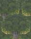 Green/Gray/Yellow