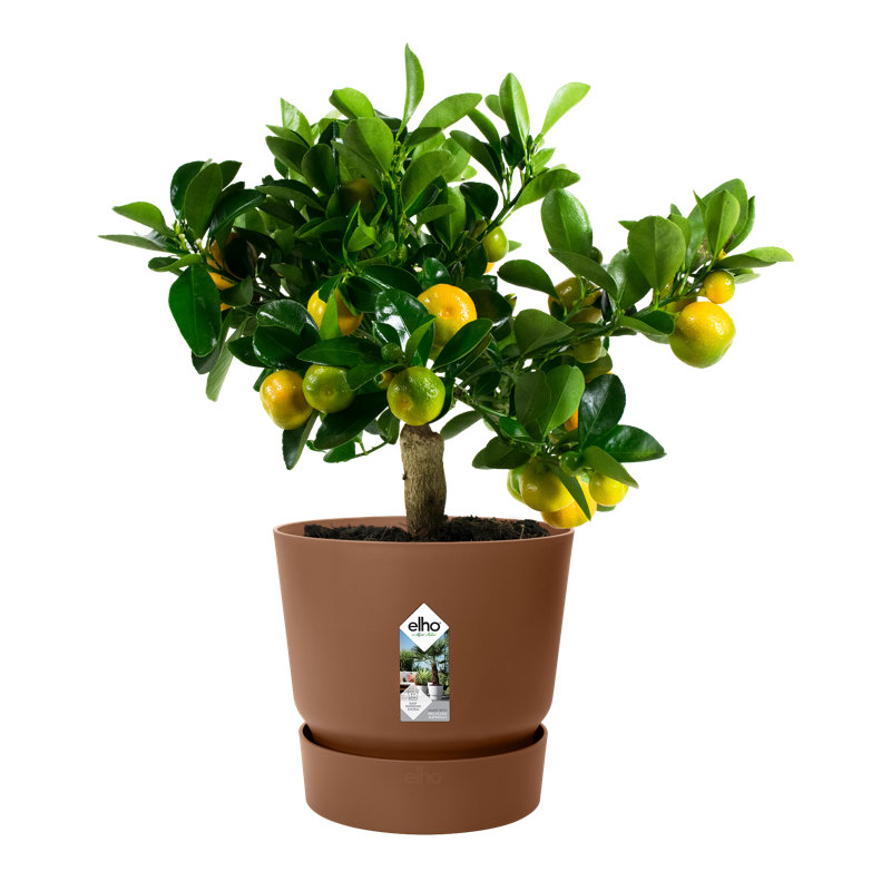 Greenville Planter, Ginger Brown, 27.8cm H x 29.5cm W x 29.5cm D