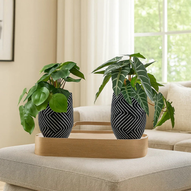 Ensemble de 2 plantes Miko Alocasia, feuilles vertes réalistes, pot noir
