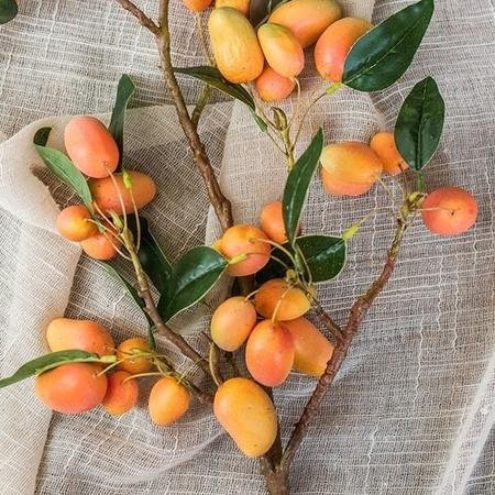Tige en faux mangue, 1 tige