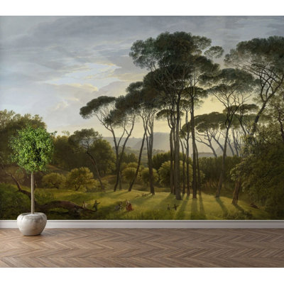 Sunlit Pine Grove Meadow Wall Mural for Home Decor