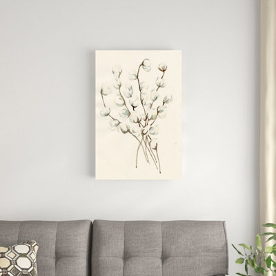 " Cotton " Painting Print