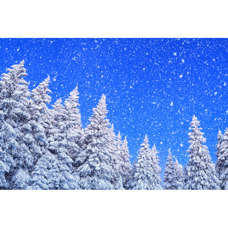 Snowy Winter Day by Borchee - Wrapped Canvas Print, 61cm H x 91cm W x 3.8cm D