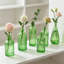 Ensemble de 12 vases à bourgeons verts, petits vases à fleurs en verre transparent en forme de vrac, mini bouteilles en verre pour centres de mariage rustiques, décorations de table et de décoration intérieure