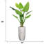 Philodendron artificiel en pot 74 po Panama