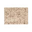Wool Floral Area Rug in White