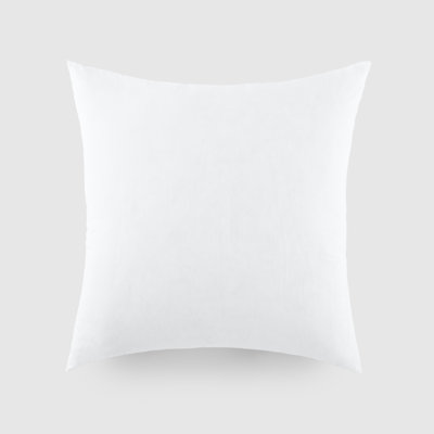  Plush 21x21 Throw Pillow Insert