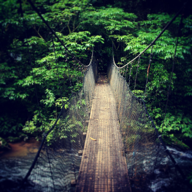 Blakesburg Forest Bridge - Wrapped Canvas Print, 30cm H x 30cm W x 3.8cm D
