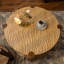 Table basse ronde avec tablette