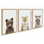 Ensemble d'art mural sur toile Studio Bear, Studio Fox et Studio Raccoon par Amy Peterson