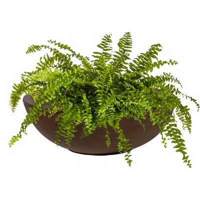 Ascend 20.75" x 20.75" x 11.5" Round Polyresin Outdoor Planter Pot - Rust