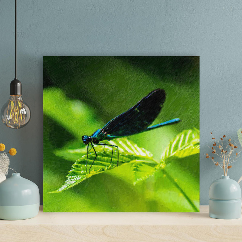 "Blue Damoustly" perché sur une feuille verte en gros plan, photographie pendant la journée - 1 pièce, reproduction d'art graphique carré sur toile tendue