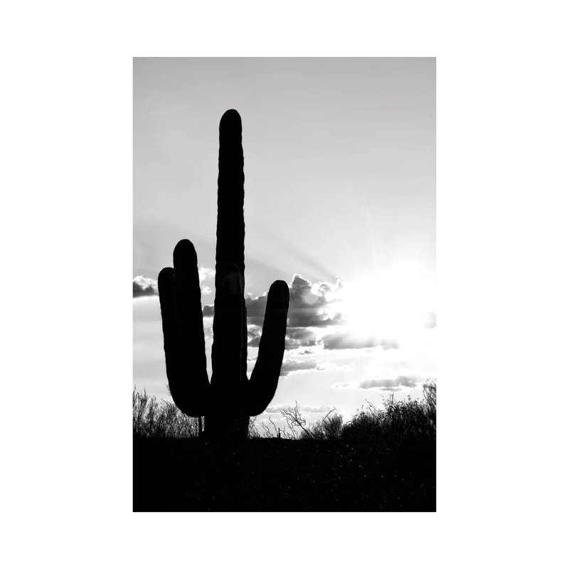 Saguaro Cactus Shadow Sunset by Philippe Hugonnard - Wrapped Canvas Print, 30.48 cm H x 45.72 cm W