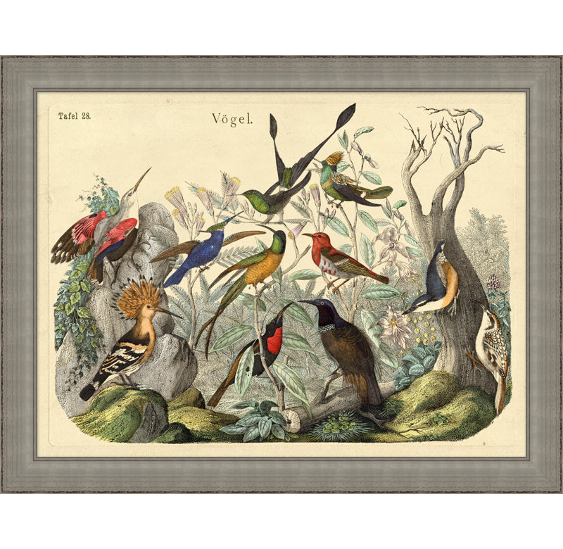 Vogels Aviary 2 Print