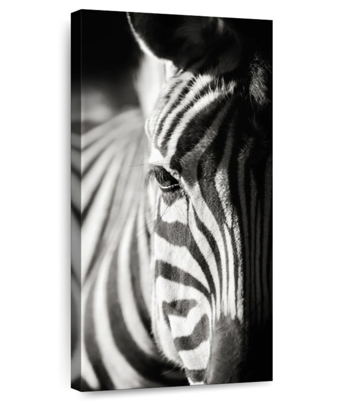 Zebra Details, 48" H x 24" W