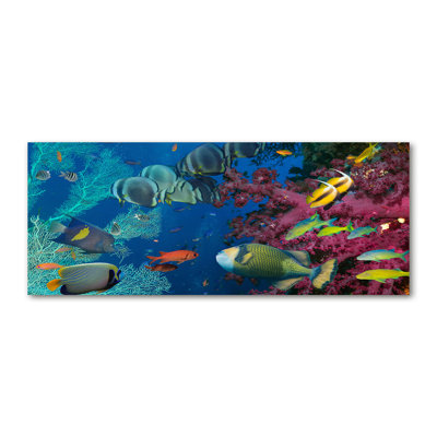 Coral Reef - Wrapped Canvas Print