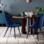 Tyrell 47cm H Short-haired Velvet Upholstered Side Chair-88684797