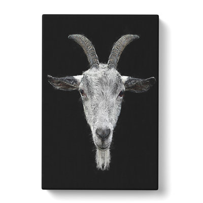 White Goat Vol.1 - Wrapped Canvas Print