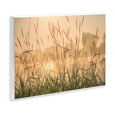 «Grassy Country Reeds» par Marty Hulsebos