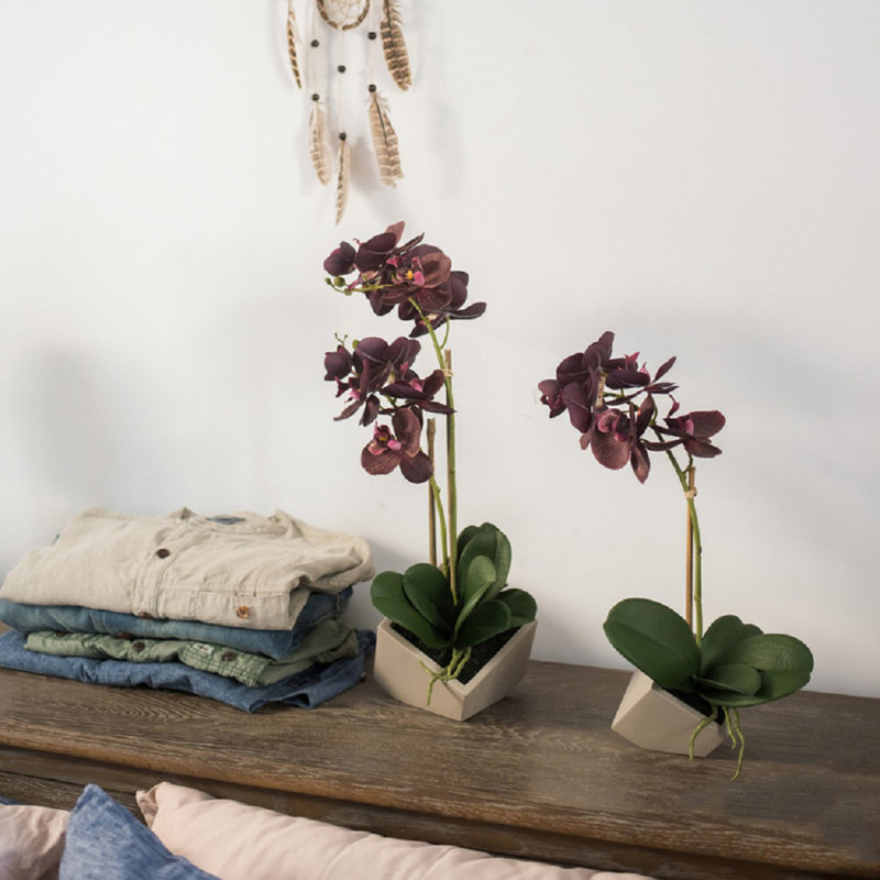 Orchidées florales et centre de table en pot, H 16,9 po x l 13 po x P 2 po