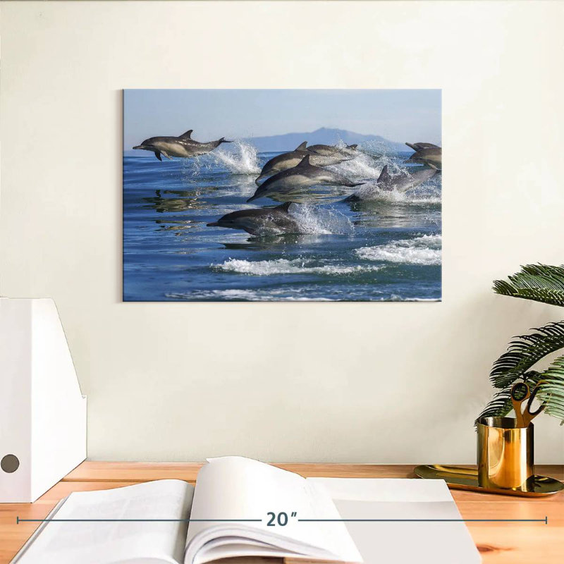 Crowle Dolphin Pod, H 8 po x l 12 po