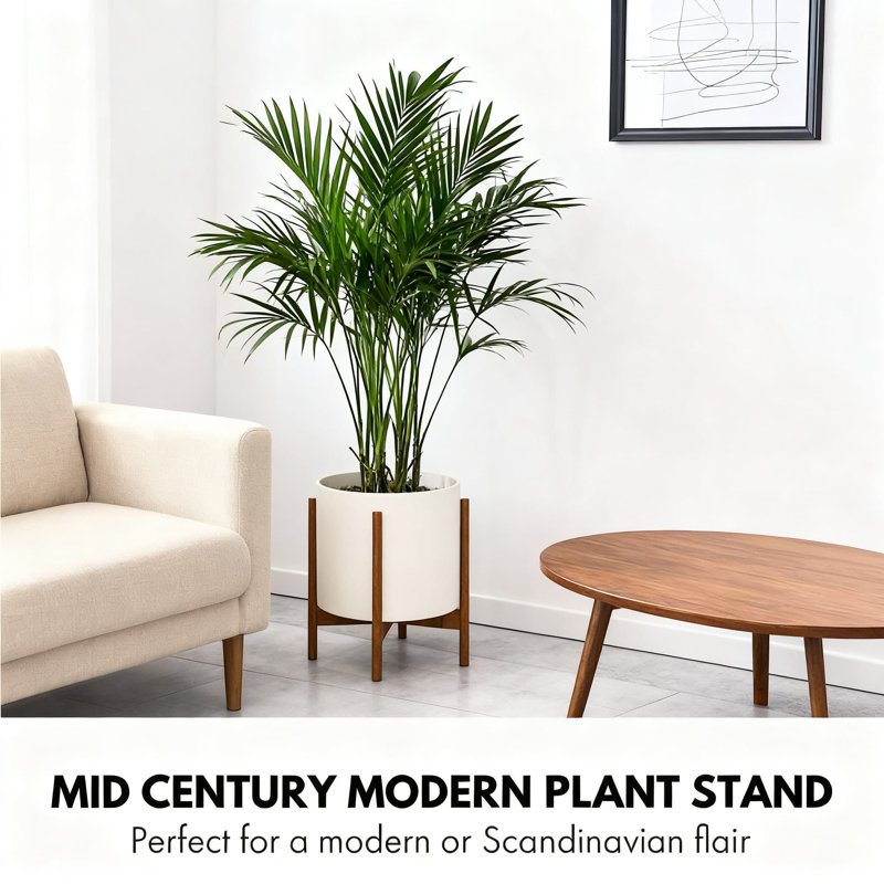 Support réglable pour plantes d'intérieur en bambou 11 à 15 pouces | Design Mid-Century moderne à brancher | Assemblage facile et deux options de hauteur | Fabrication tissée durable
