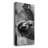 " Sloth Swing "-121397140