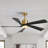 Karlena 52'' Modern Large Ceiling Fan With Led Lights And Remote Control, App, Timer, Memory