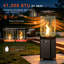 41000 Propane Standing Patio Heater(Set of 2)