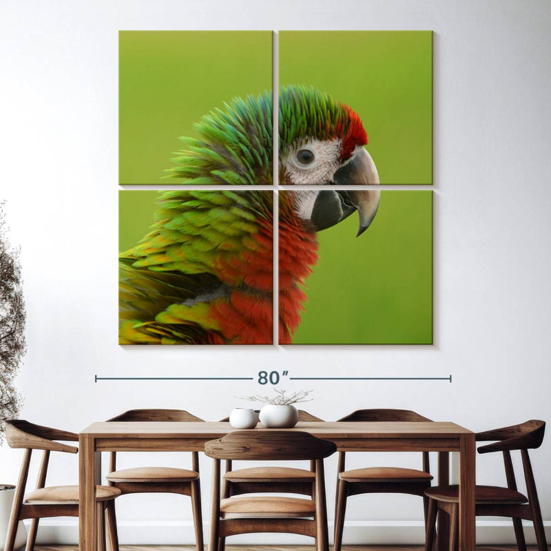 Tête d'oiseau ara Brampt, H 74 po x l 74 po