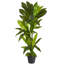 Plante artificielle en pot-1170770639