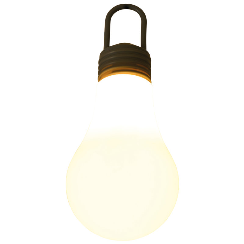 Tidewater 1 Light Decorative Light