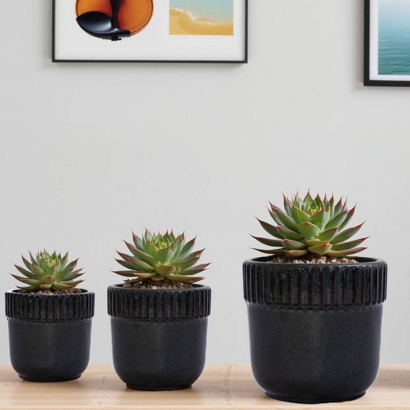 Ensemble de 3 pots de fleurs décoratifs pour l'extérieur 15 "en céramique avec pot de drainage, Noir antique