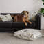 Pets Lumbar Pillow Cover & Insert-67456667
