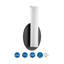 Delphine Single Light Glass Steel Dimmable LED Flush Mounted Sconce-809035723
