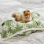 Couverture pour chien et chat Lesure-113472965-121249942
